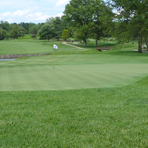 2016 Spring Golf